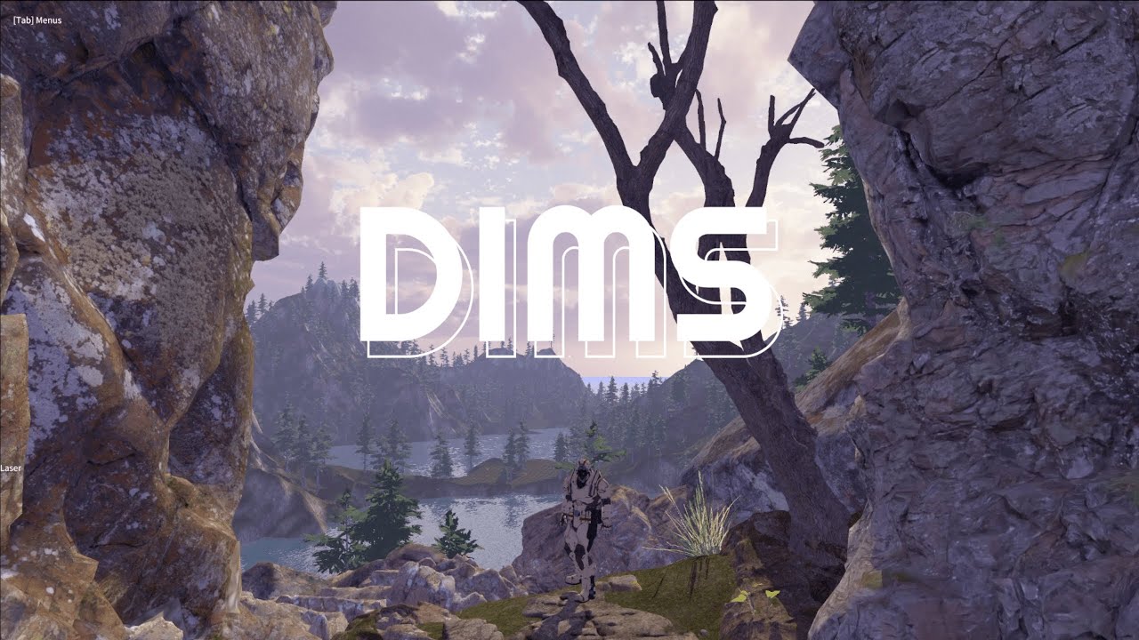 dims screenshot